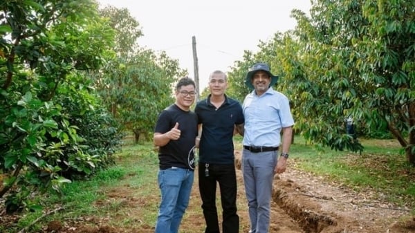 Bayer accompanies Dak Nong farmers to improve durian quality